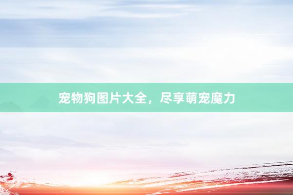宠物狗图片大全，尽享萌宠魔力