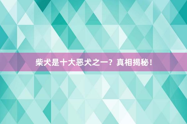 柴犬是十大恶犬之一?真相揭秘!